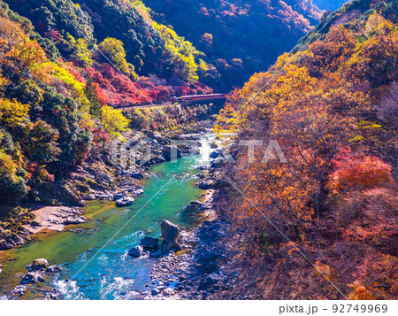 保津峡の紅葉とトロッコ列車 保津峡の紅葉とトロッコ列車 92749969