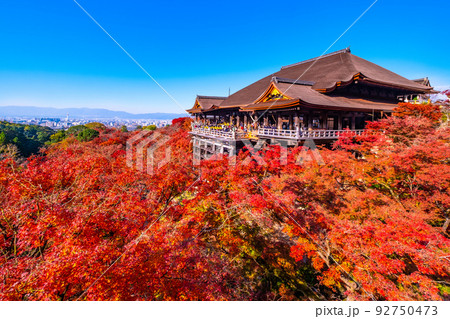 清水寺の舞台と紅葉 92750473