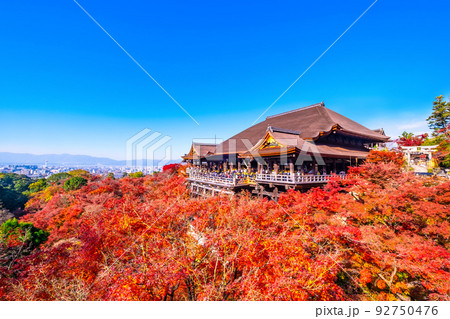 清水寺の舞台と紅葉 92750476