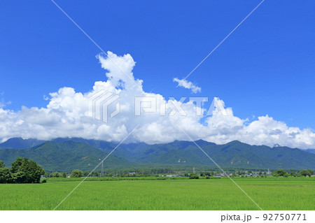 安曇野の夏　田園と入道雲 92750771
