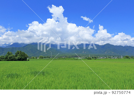 安曇野の夏 田園と入道雲 安曇野の夏 田園と入道雲 92750774