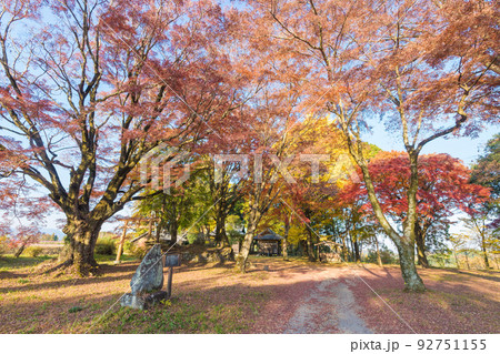 小富士神社の紅葉（大分県竹田市） 92751155