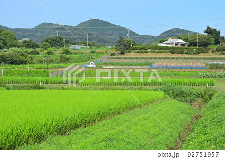秦野の原風景 田原ふるさと 夏の田園 秦野の原風景 田原ふるさと 夏の田園 92751957