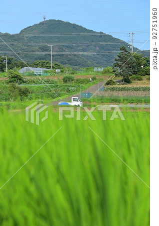 秦野の原風景 田原ふるさと 夏の田園 秦野の原風景 田原ふるさと 夏の田園 92751960