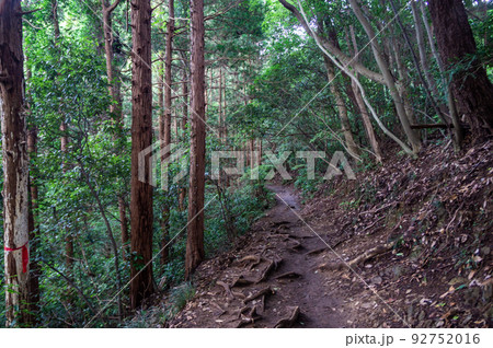 東京都八王子市の高尾山登山 東京都八王子市の高尾山登山 92752016