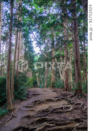 東京都八王子市の高尾山登山 92752024