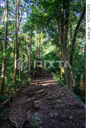 東京都八王子市の高尾山登山 東京都八王子市の高尾山登山 92752025