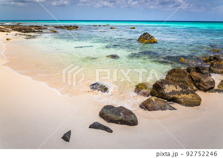 Idyllic and translucent caribbean beach at sunny day in Aruba 92752246