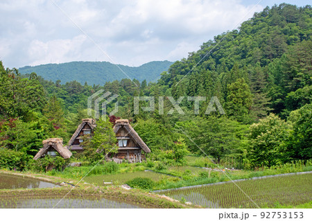 田植えが終わった初夏の白川郷 田植えが終わった初夏の白川郷 92753153