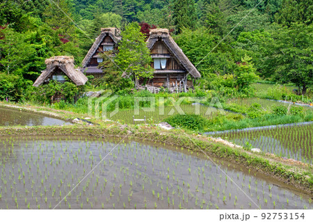 田植えが終わった初夏の白川郷 田植えが終わった初夏の白川郷 92753154