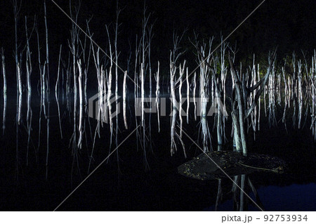 落合ダム 92753934