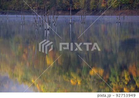 落合ダム 92753949