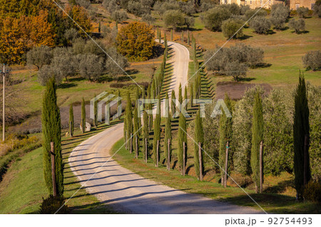 Typical view in Tuscany with cypress trees and beautiful country estates 92754493