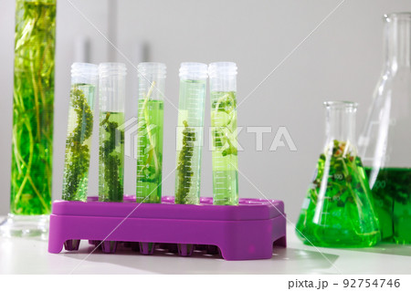 research and Biotech science Scientists are developing research on algae. Bio-energy, biofuel, energy research research and Biotech science Scientists are developing research on algae. Bio-energy, biofuel, energy research 92754746