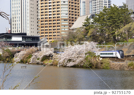 牛込濠の桜の風景 牛込濠の桜の風景 92755170