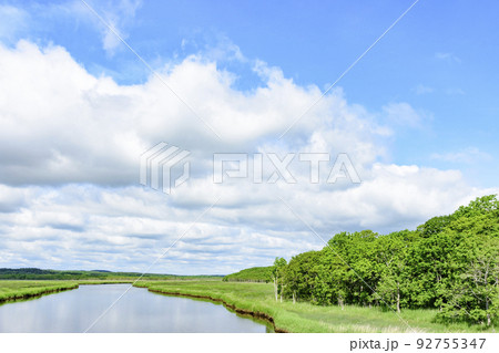 道東 ヤウシュベツ川湿原 夏 道東 ヤウシュベツ川湿原 夏 92755347