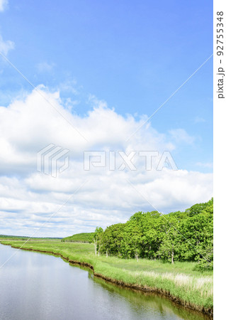 道東　ヤウシュベツ川湿原　夏 92755348