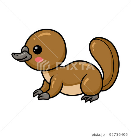 Cute baby platypus cartoon posing	 92756406