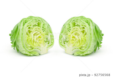 レタス イラスト リアル 断面 セット 92756568