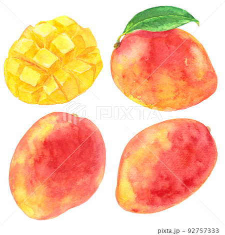 水彩たくさんのマンゴー 92757333