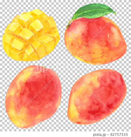 水彩たくさんのマンゴー 92757333