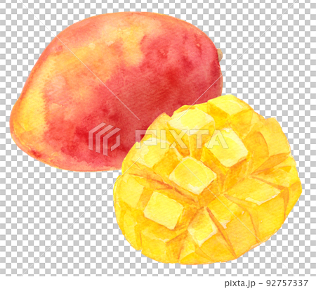 水彩 mango_cut 芒果和芒果 水彩 mango_cut 芒果和芒果 92757337
