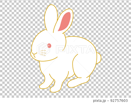 うさぎ うさぎ 92757603