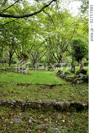 天開山泰運寺(参道)　【三重県松阪市飯高町波瀬】 92757985