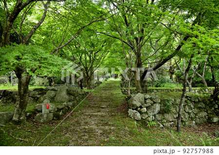 天開山泰運寺(参道)　【三重県松阪市飯高町波瀬】 92757988