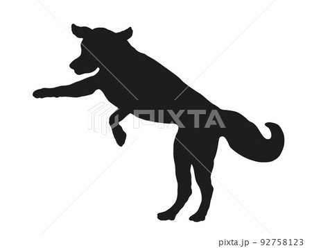 Jumping golden retriever puppy. Dog silhouette. Jumping golden retriever puppy. Dog silhouette. 92758123