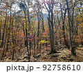 雪岳山 紅葉 秋 92758610