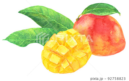 水彩マンゴー_カットマンゴーと葉つきマンゴー_葉あり 92758823