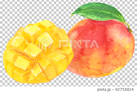 Watercolor mango_cut mango and mango with leaves 2 92758824