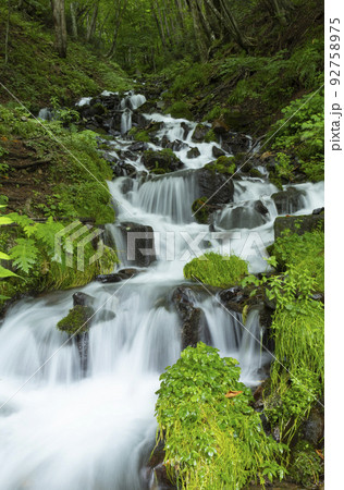 石の間を幾筋もの流れが落ちていく強清水の滝 石の間を幾筋もの流れが落ちていく強清水の滝 92758975