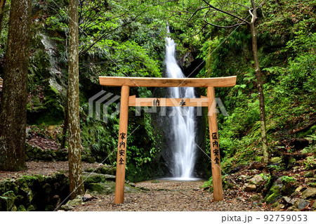 押渕白滝 【三重県度会郡南伊勢町押渕】 押渕白滝 【三重県度会郡南伊勢町押渕】 92759053