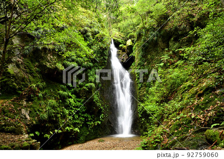 押渕白滝　【三重県度会郡南伊勢町押渕】 92759060