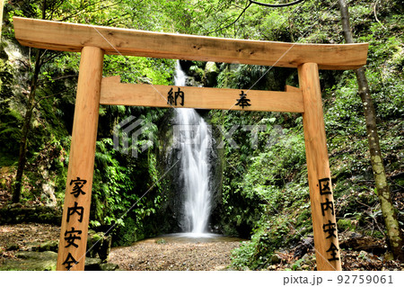 押渕白滝　【三重県度会郡南伊勢町押渕】 92759061