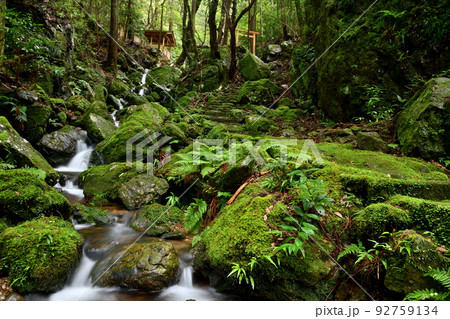 押渕白滝(白龍権現参道)　【三重県度会郡南伊勢町押渕】 92759134