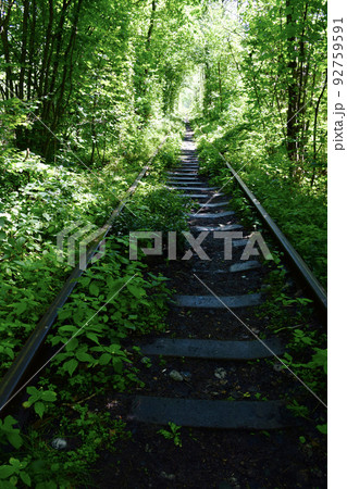 ウクライナの観光名所の恋のトンネル 92759591