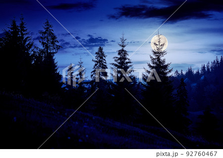 coniferous trees on the hill at night. beautiful nature scenery of romania mountains in full moon light 92760467