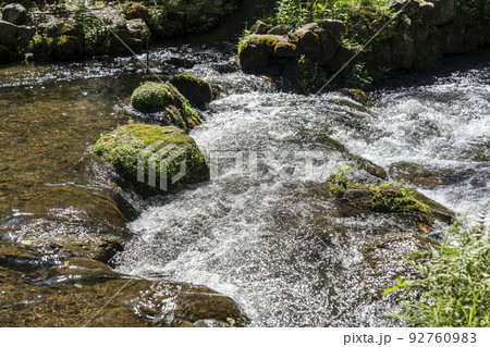 夏の京都 上賀茂神社(加茂別雷神社) 境内の御物井川(御物忌川) 京都府京都市 夏の京都 上賀茂神社(加茂別雷神社) 境内の御物井川(御物忌川) 京都府京都市 92760983