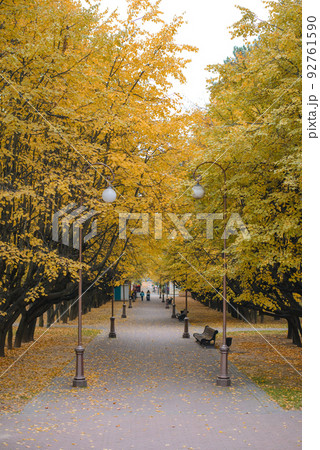 Minsk, Belarus. October 2020. Central entrance, alley to the Botanical Garden in autumn 92761590