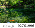 【栃木県佐野市】出流原弁天池 92761996