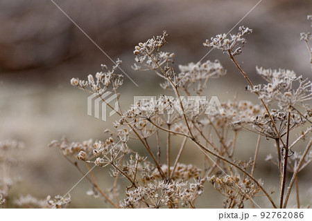 Beautiful winter landscape with Girskiy Tikych river running through frosted trees and rocks. Beautiful winter landscape with Girskiy Tikych river running through frosted trees and rocks. 92762086