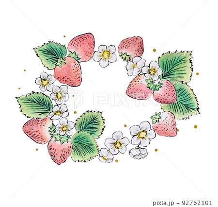苺と苺の花のリースのイラスト 苺と苺の花のリースのイラスト 92762101