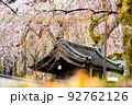 【埼玉県秩父市】清雲寺のしだれ桜 92762126