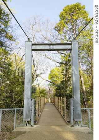 砧公園 谷戸川にかかる吊り橋 砧公園 谷戸川にかかる吊り橋 92762560
