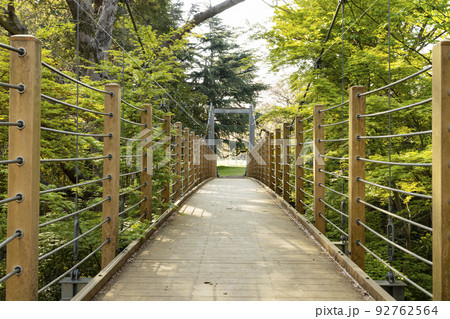 砧公園 谷戸川にかかる吊り橋 砧公園 谷戸川にかかる吊り橋 92762564