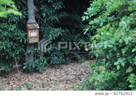 廃屋跡に残されたポスト 廃屋跡に残されたポスト 92762912