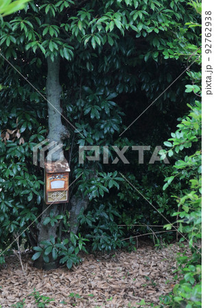 廃屋跡に残されたポスト 廃屋跡に残されたポスト 92762938